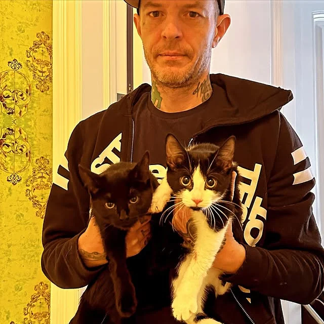 A person with tattoos is holding two cats, one black and one black-and-white, in a room with patterned wallpaper.